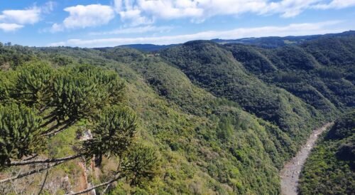 Os Bondinhos de Canela | A Melhor vista da cascata do caracol Os Bondinhos de Canela | A Melhor vista da cascata do caracol