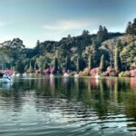 As 10 experiências imperdíveis para viver em família em Gramado e Canela confira
