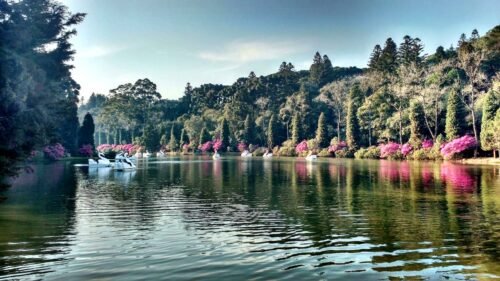 As 10 experiências imperdíveis para viver em família em Gramado e Canela confira