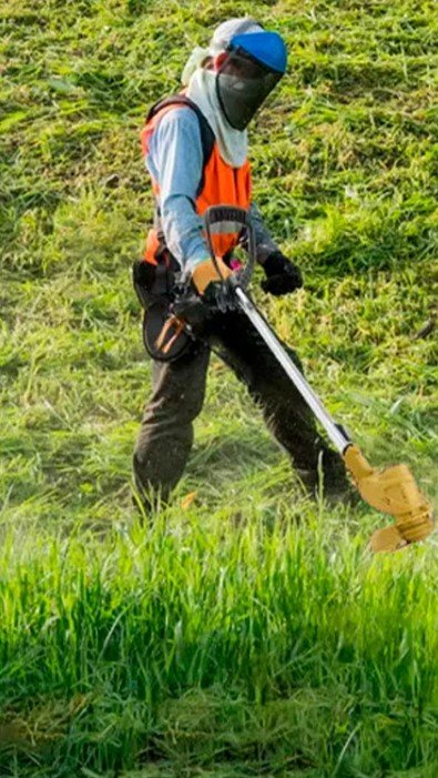 Roçadeira Aparador Grama 2 Baterias Recarregável 21v 750w Profissional