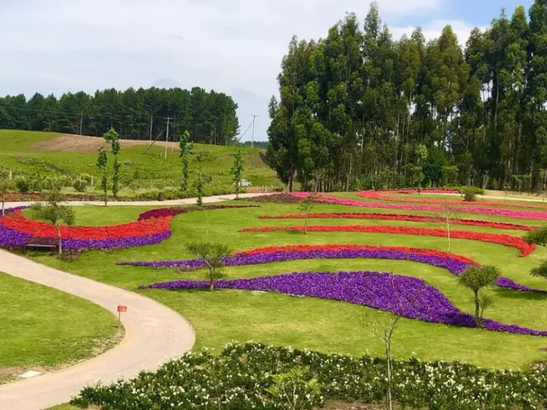 Mátria Parque de Flores: conheça um dos passeios mais encantadores da Serra Gaúcha